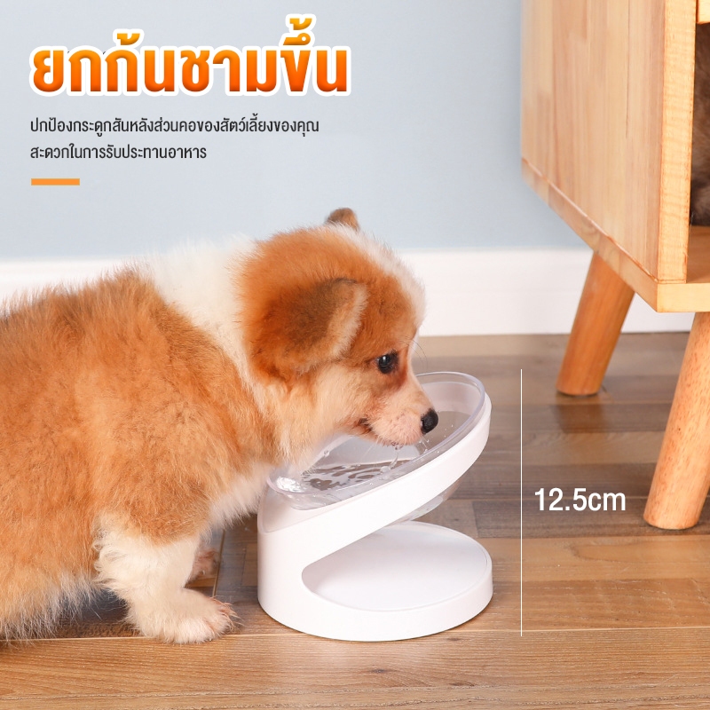 ชามแมวชามสัตว์เลี้ยงแนวทแยงมุมป้องกันปากมดลูกกระดูกสันหลังสัตว์เลี้ยงชามอาหารแมวชามอาหารแมว