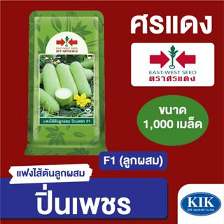 เมล็ดพันธุ์ ศรแดง BIG แฟง ปิ่นเพชร EBS 1,000 เมล็ด (ซองใหญ่)