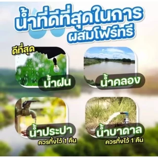 [ออกใบกำกับภาษีได้] 4tree 4ทรี โฟร์ทรี booster บูสเตอร์ เพิ่มประสิทธิภาพในการเจริญเติบโตของพืชไร่พืชสวน