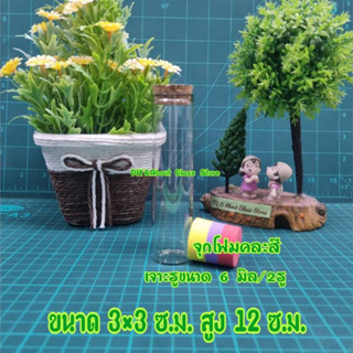 ขวดแก้ว แจกันแก้วทรงกระบอก 12 ซ.ม. พร้อมจุกปิดฝาขวด