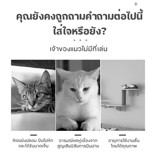 รังแมวติดผนัง กล่องแมวติดผนัง คอนโดแมวติดผนัง กล่องแมวติดผนัง DIY ขายแยกชิ้น