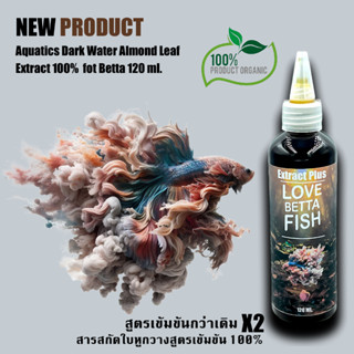 Extract Plus สารสกัดใบหูกวางผสมตัวสำคัญที่ป้องกันและรักษาโรค…