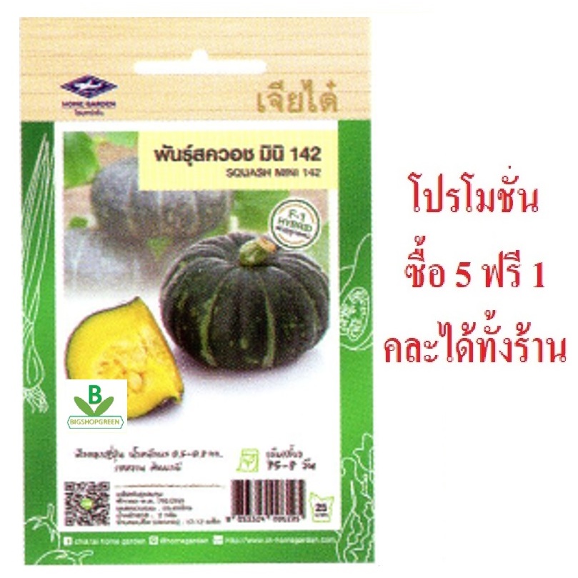 เมล็ดพันธุ์ ฟักทอง สควอซ มินิ 142 เจียไต๋ เมล็ดผัก เมล็ดพันธุ์ผัก เมล็ดพันธุ์พืช
