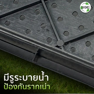 SGE ถาดเพาะกล้า เพาะข้าว นาดำ รุ่น GTMG ไม่กรอบแดด ผลิตจากพลาสติก PP ของแท้จาก SGE