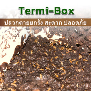 TERMI-BOX เหยื่อกำจัดปลวก สารสกัดธรรมชาติ เหยื่อปลวก อาหารปลวก