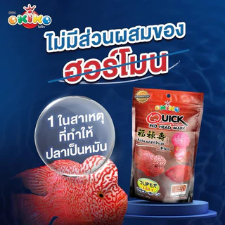 อาหารปลา ควิกเรด Quick Red ปริมาณ 500กรัม สำหรับปลาหมอสี ปลานกแก้ว และปลาที่ต้องการเร่งสีสันสวยงาม