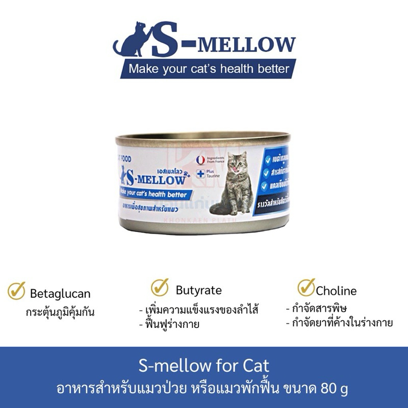 S-MELLOW CAT แมว สีฟ้า อาหารสำหรับสัตว์ป่วยที่ช่วยทุกด้าน