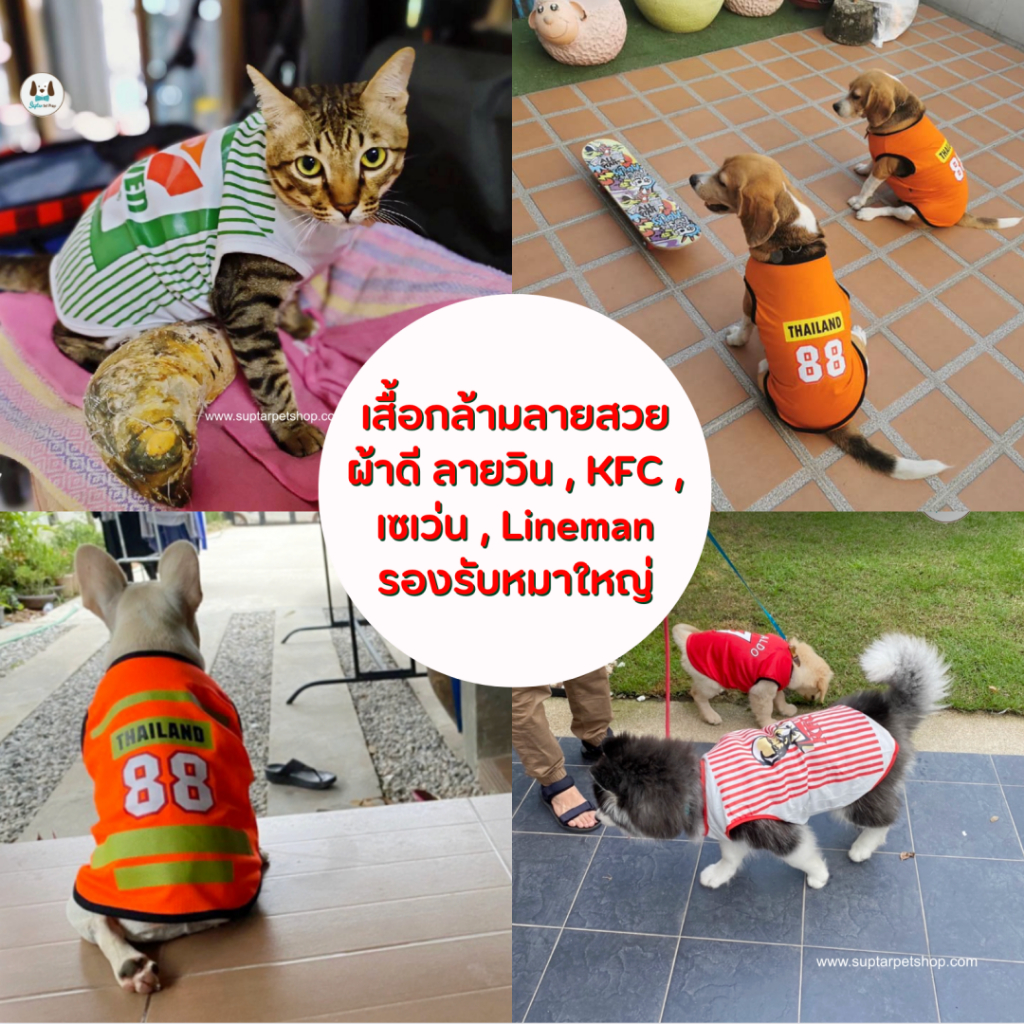 เสื้อสัตว์เลี้ยงลายวินมอเตอร์ไซค์ เสื้อของสุนัขและแมว กระต่าย แฮมเตอร์ หมาใหญ่ใส่ได้