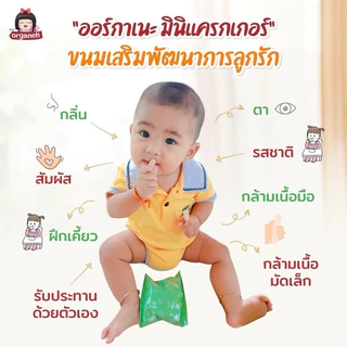 Organeh mini cracker มินิแครกเกอร์ ขนมเด็ก 6 เดือน+ ทำจากข้าวสังข์หยด มีฮาลาล