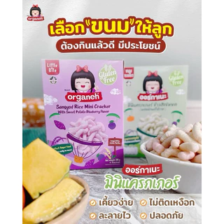 Organeh mini cracker มินิแครกเกอร์ ขนมเด็ก 6 เดือน+ ทำจากข้าวสังข์หยด มีฮาลาล