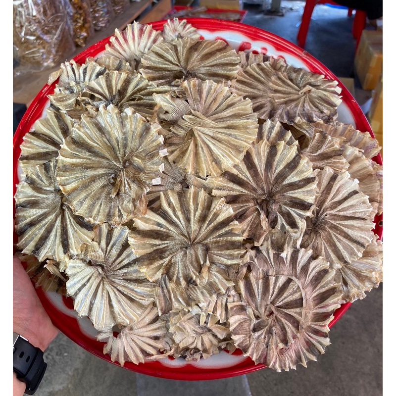 ปลาวงจืดตากแห้ง ใหม่ สะอาด 500-1,000 กรัม