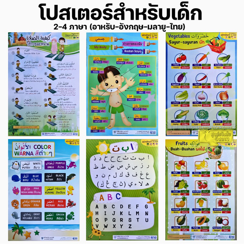 โปสเตอร์สำหรับเด็ก 6 แบบ (ร่างกายของฉัน, การละหมาด, สีต่างๆ, ผัก, ผลไม้, พยัญชนะอาหรับ-อังกฤษ)(ขนาด A2,กระดาษอ่อนมันเงา)