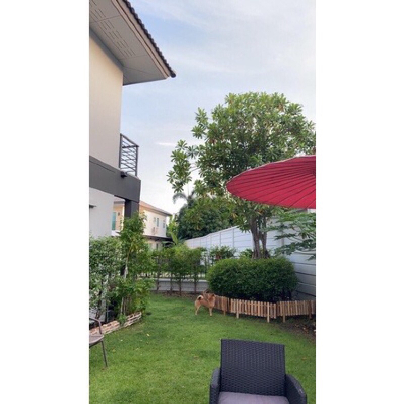 รั้วสนามไม้สักแท้1มัดได้5แผง 1แผงยาว100สูงรวมขา50cm(ขายยกมัด5แผง) - รูปที่ 5