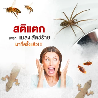 รุ่นด้ามยาว handy.b ไม้จับแมลงและสัตว์มีพิษ แมลงสาบ จิ้งจก แมงมุม แมลงวัน และอื่นๆ