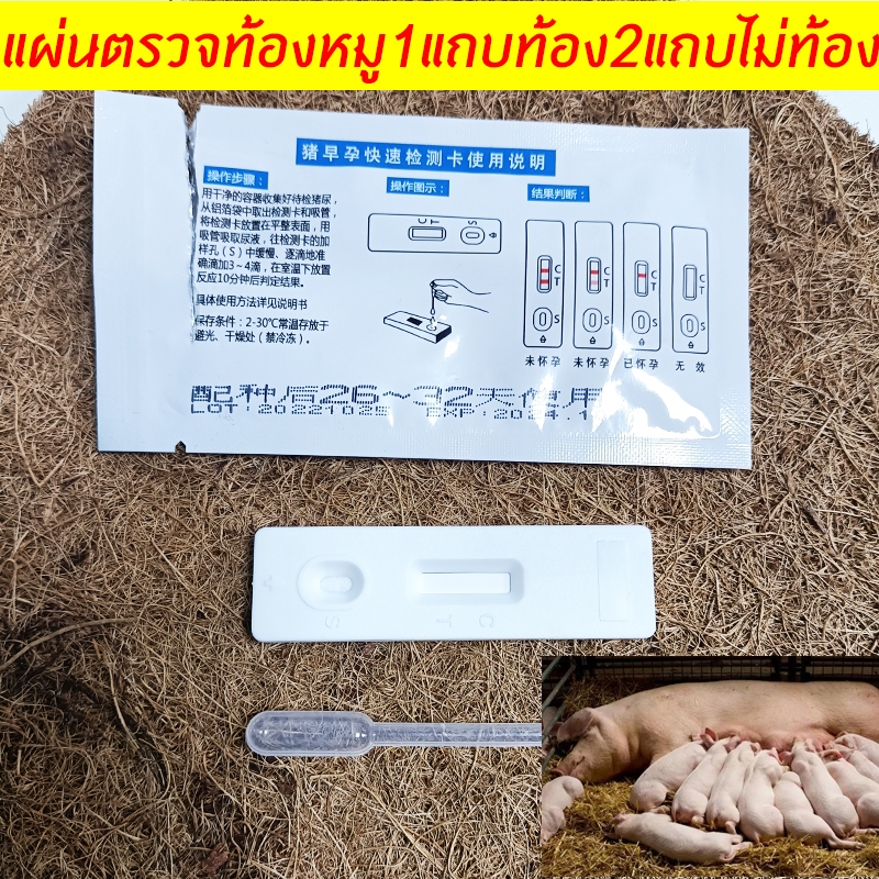 ชุดตรวจตั้งครรภ์หมู ตรวจท้องหมู ที่ตรวจการตั้งท้องหมู แผ่นทดสอบการตั้งท้องสำหรับแม่สุกร ได้ผลเร็ว