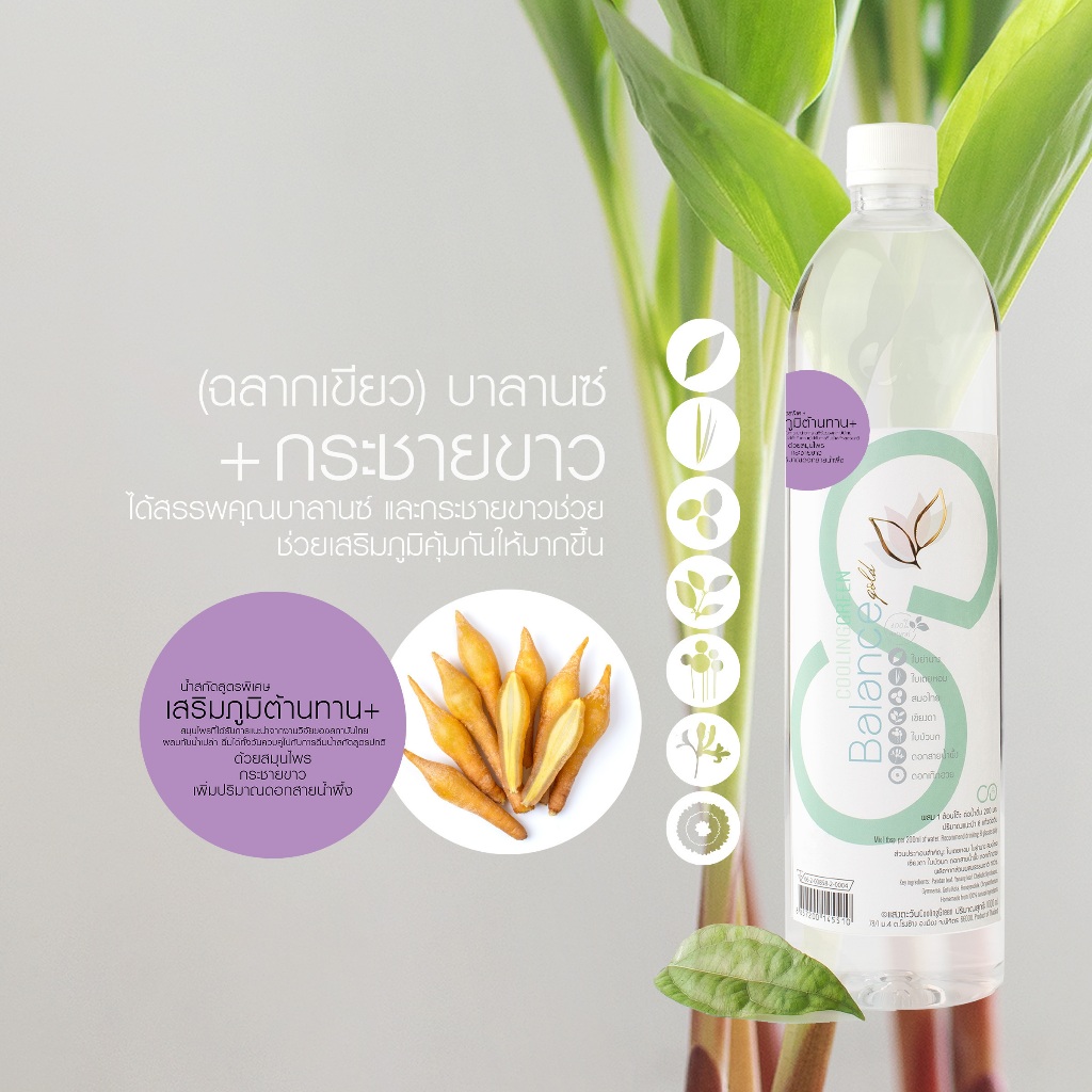 น้ำสกัดย่านาง ผสมกระชายขาว [3ขวด ดื่มได้ 2 เดือน] CoolinGreenสูตรบาลานซ์+กระชายขาว