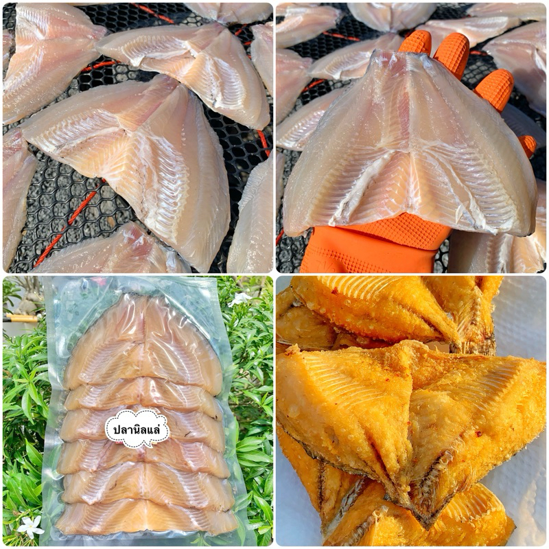 รูปภาพ 2