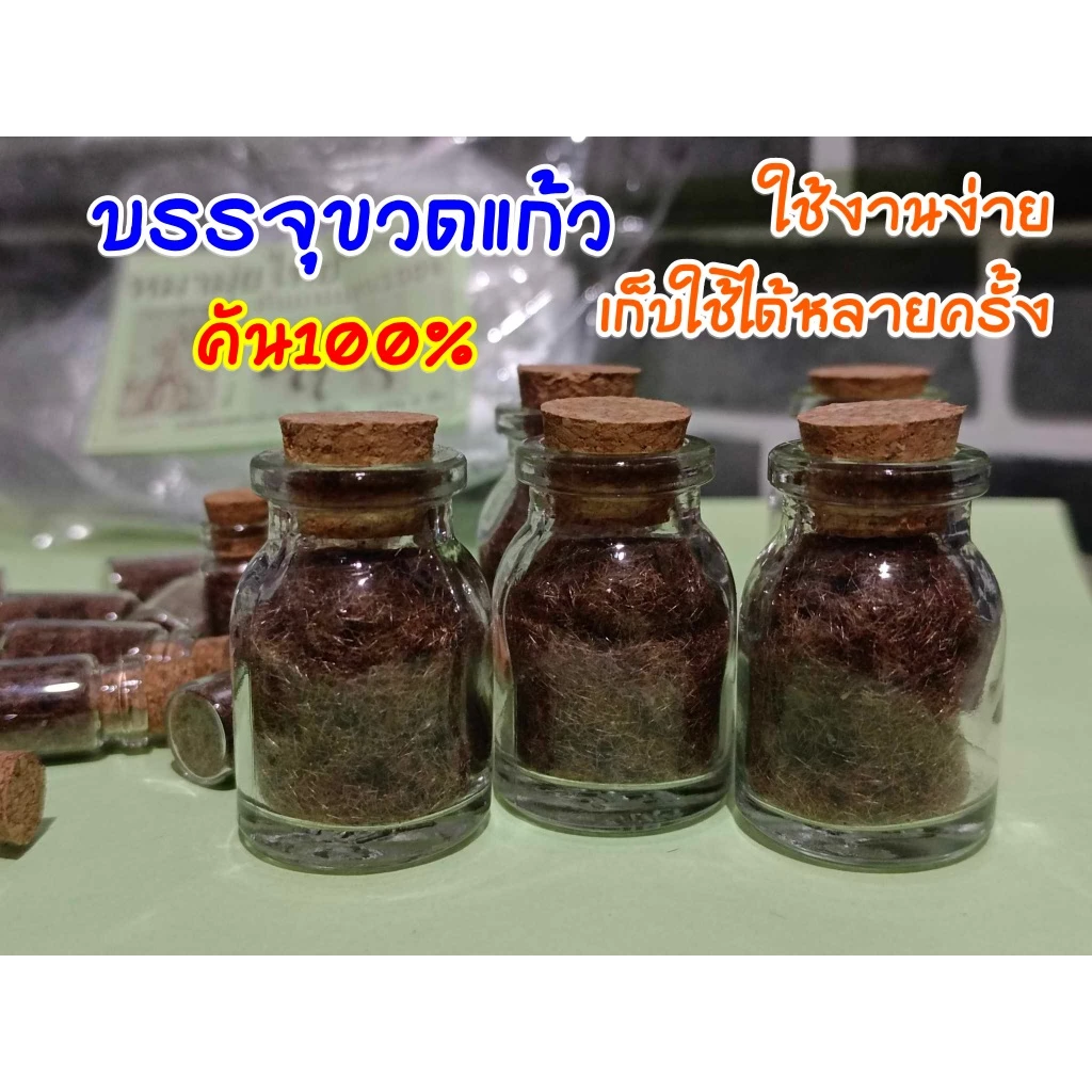 หมามุ้ยไทย ตำแยคัน ปั่นเฉพาะขนจากฝักแห้ง บรรจุขวดแก้วใช้งานง่าย แถมฟรีถุงมือป้องกันคัน คัน100%