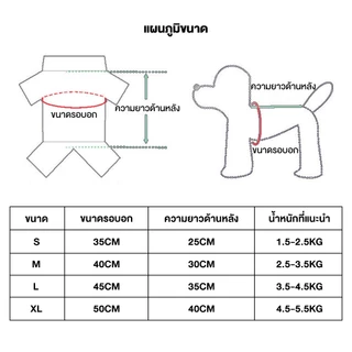 PetStern เสื้อกั๊กสัตว์เลี้ยง ขนาดเล็ก ลายหมีน่ารัก แฟชั่นฤดูใบไม้ผลิ และฤดูร้อน สําหรับสุนัข แมว