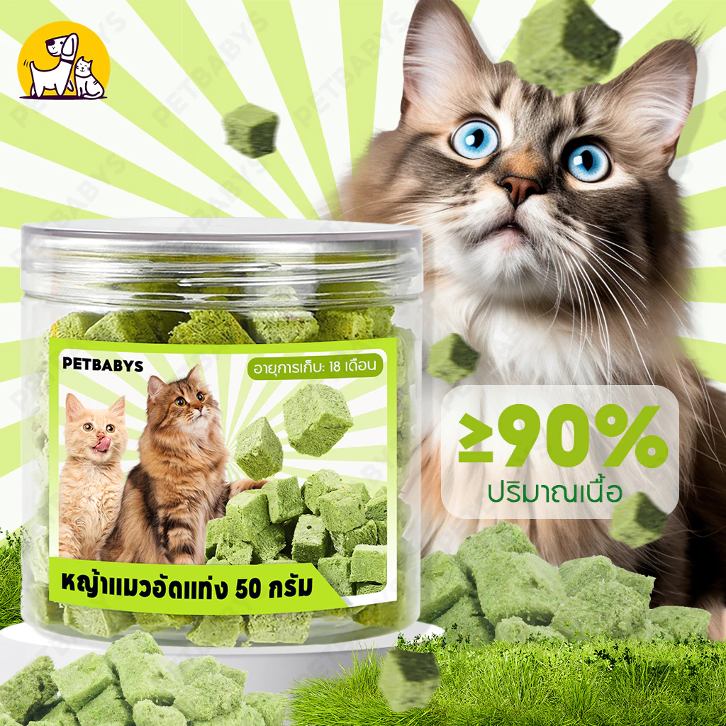 😸หญ้าแมว😸หญ้าแมวฟรีซดราย หญ้าแมวอัดแท่ง 50 กรัม สามารถช่วยกําจัดขนได้ (Cat Grass Freeze Dried) ขนมหญ้าแมว100% ขนมแมว