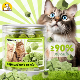 😸หญ้าแมว😸หญ้าแมวฟรีซดราย หญ้าแมวอัดแท่ง 50 กรัม สามารถช่วยกําจัดขนได้ (Cat Grass Freeze Dried) ขนมหญ้าแมว100% ขนมแมว