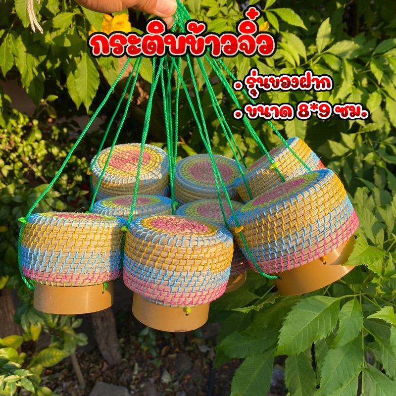 กระติบข้าวเหนียวจิ๋ว กระติ๊บข้าวเหนียว 3.5 นิ้ว รุ่นของฝาก