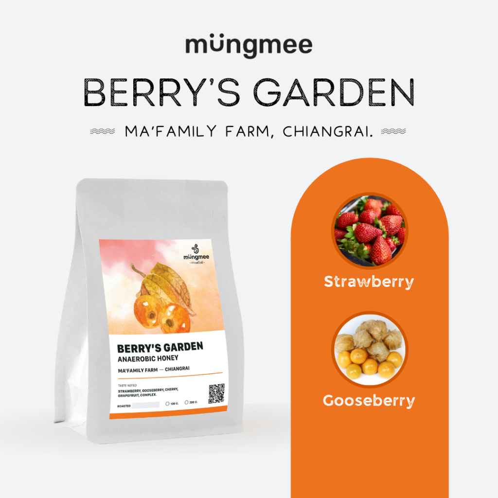 [ 3 3 F3KTBF ลด 15% สูงสุด 200 - ] Mungmee Coffee เมล็ดกาแฟ คั่วอ่อน ปางขอน Berry