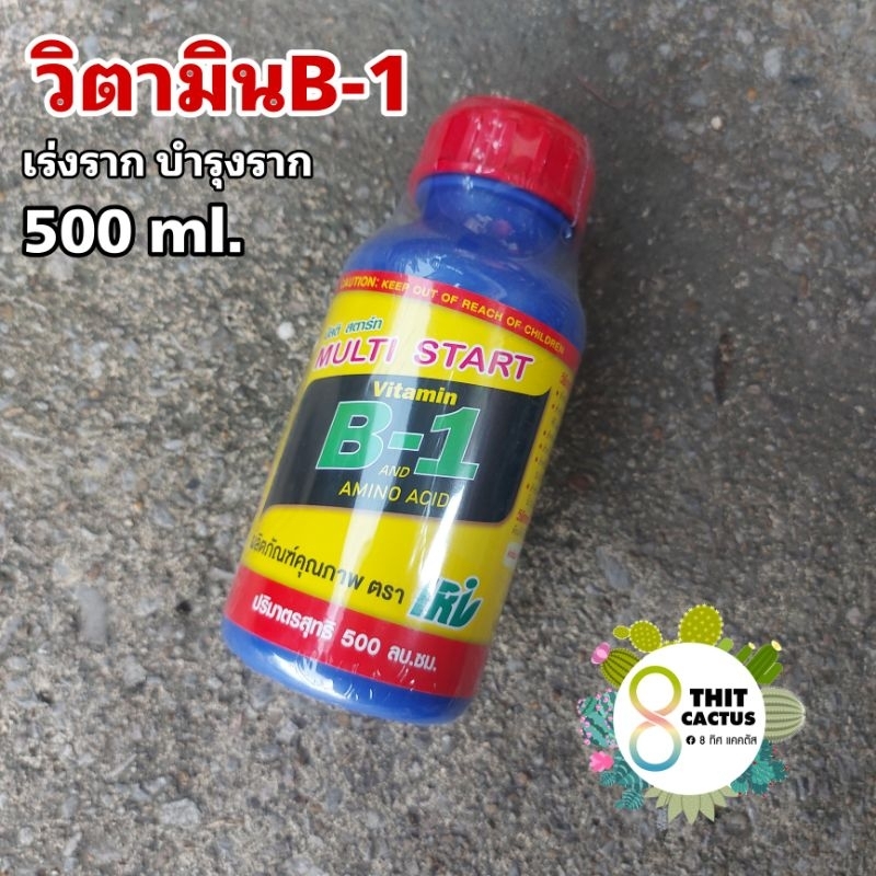 B1 กลาง // B-1 วิตามิน B1 วิตามินB1 บีวัน บำรุงราก เร่งราก 500cc บำรุง แคคตัส กระบองเพชร