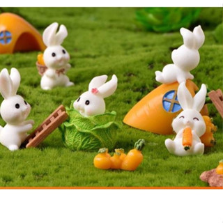 เซตกระต่ายกระหล่ำ แครอท ตุ๊กตาแต่งสวน จัดสวนถาด ไม้ดัด ไม้โข…