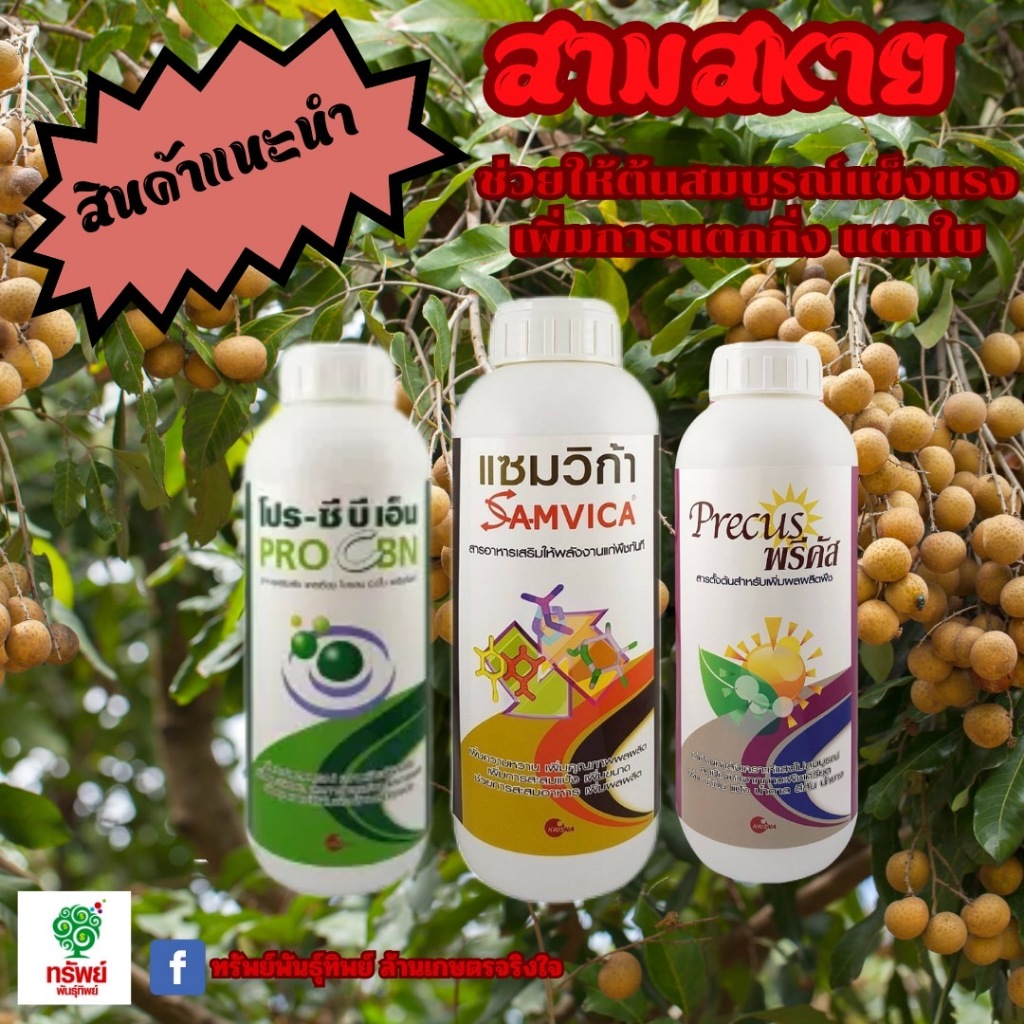 สามสหาย สายฮอร์โมน พรีคัส แซมวิก้า โปร-ซีบีเอ็ม