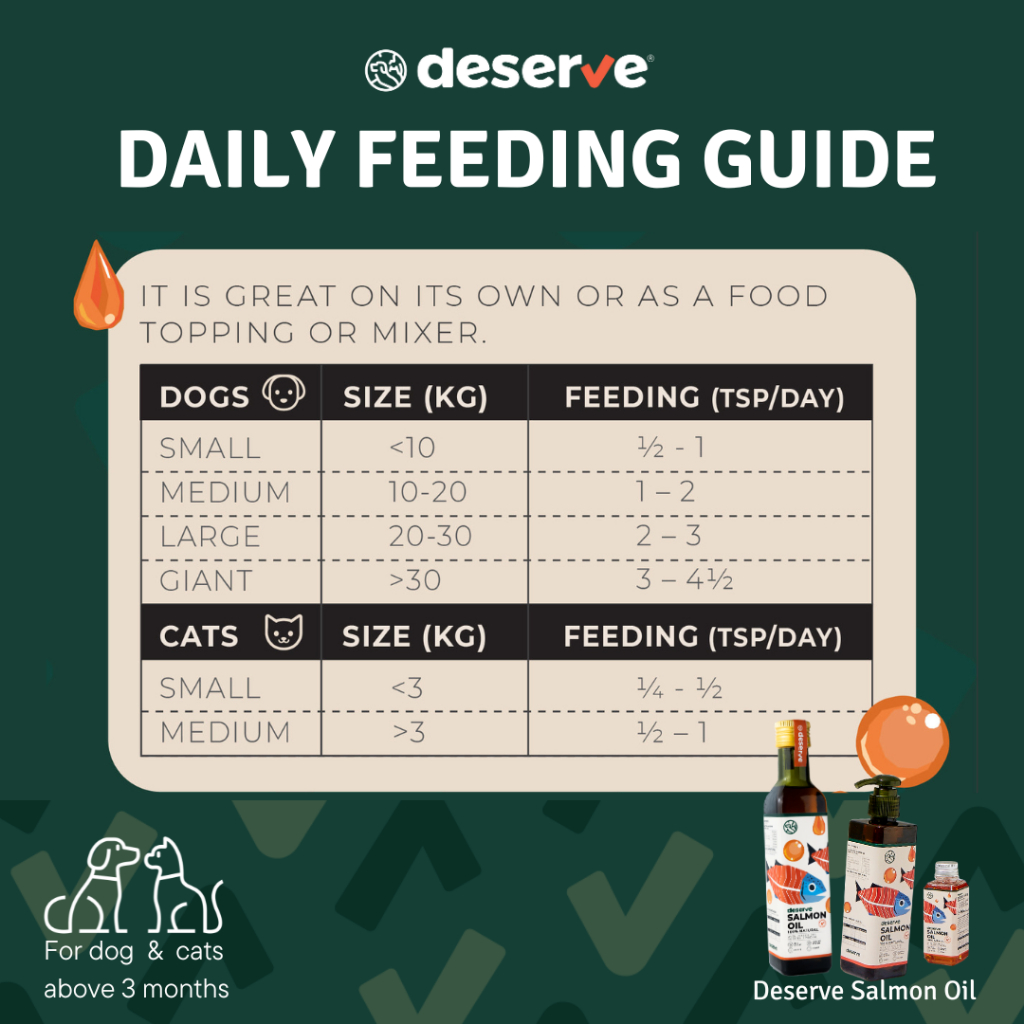 รูปภาพ 8