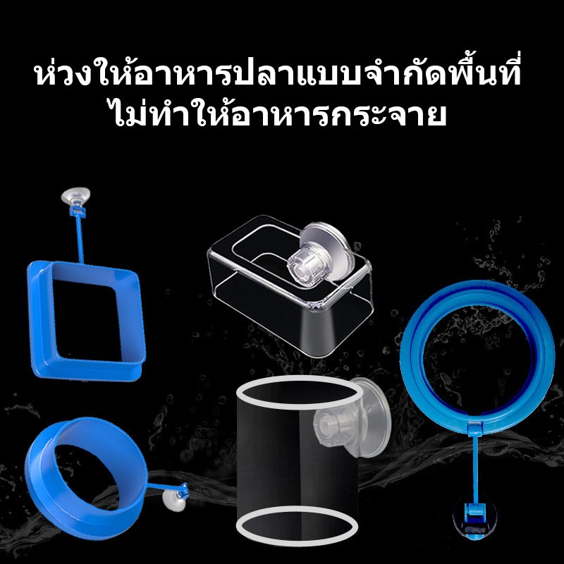 ห่วงให้อาหารปลา แบบบางและหนา / กล่องอะคิลิกให้อาหารปลา
