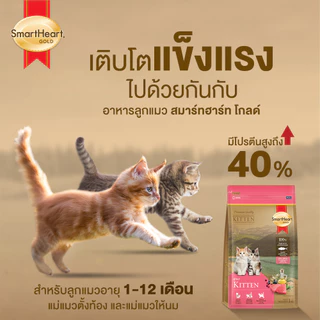 [ยกกระสอบ สุดคุ้ม!] Smartheart Gold สมาร์ทฮาร์ท โกลด์ อาหารแมว ลูกแมว แกะ ทูน่า แซลมอน ข้าวกล้อง 1kg x 10 ถุง