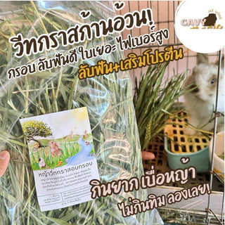 หญ้ากระต่าย แกสบี้ หญ้าวีทกราส ข้าวสาลีอบเกรดพรีเมียม