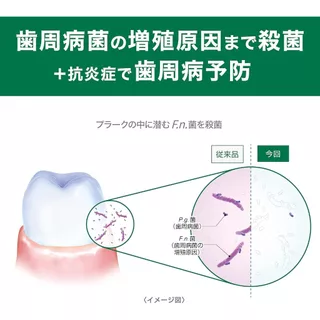 GUM Plus Dental Rinse น้ำยาบ้วนปาก ขายดีของญี่ปุ่น 🇯🇵 Koneko