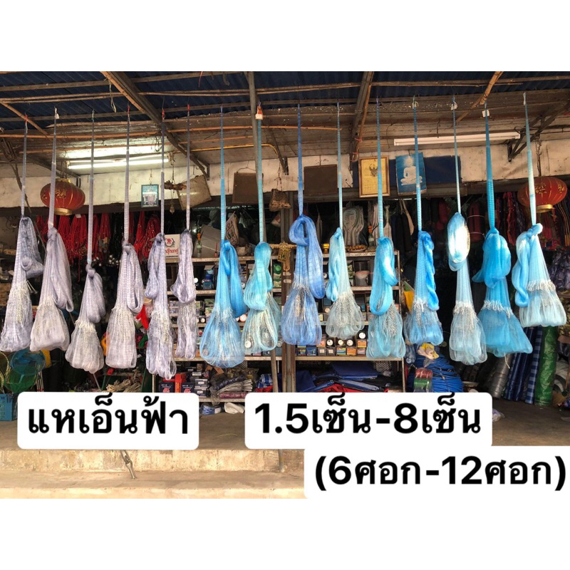 แหเอ็นฟ้า บานทุกปาก แตกทุกผืน ขนาดตา1.5เซ็น-8เซ็น ลึก6-12ศอก ขึ้นเพลาพร้อมใช้งาน
