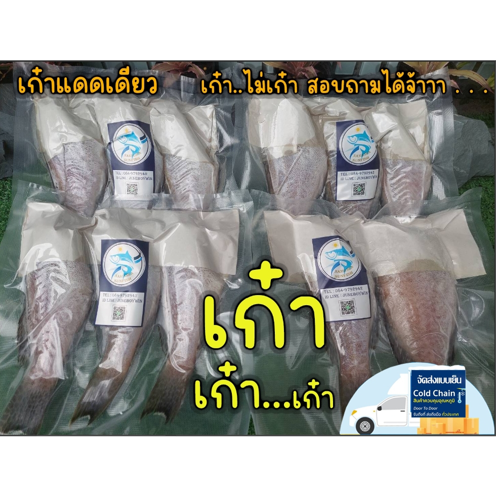 ปลาเก๋า...! เก๋าแดดเดียวตัดหัว แพ็คสูญญากาศ  500กรัม(สูตรเค็มน้อย อร่อย)ใส่ใจก่อนถึงมือลูกค้า