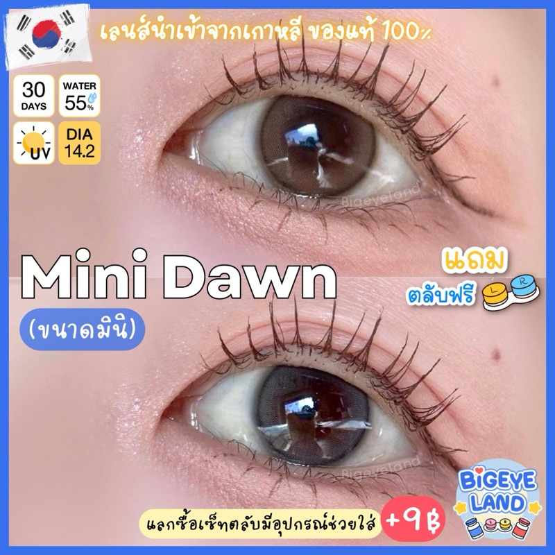 รุ่นวอนยอง IVE ⭐️ คอนแทคเลนส์ Mini Dawn Brown / Gray / Light Brown (Kitty Kawaii) ขนาดมินิ 🌷 - 1