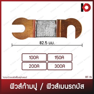 ฟิวส์เมนรถบัส ฟิวส์ก้ามปู ขนาด 100A / 150A / 200A / 300A ยี่…