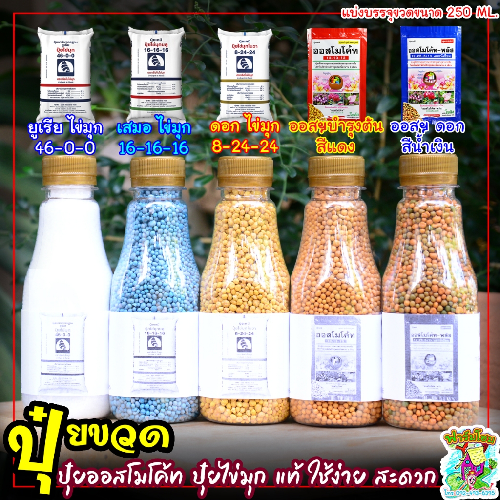 ปุ๋ยเคมีบรรจุขวด ปุ๋ยสูตรเสมอ ปุ๋ยยูเรีย ปุ๋ยเร่งดอก ปุ๋ยออสโมโค้ท ปุ๋ยออสโมโค้ท-พลัส แบ่งบรรจุขวดขนาด 250 ML.