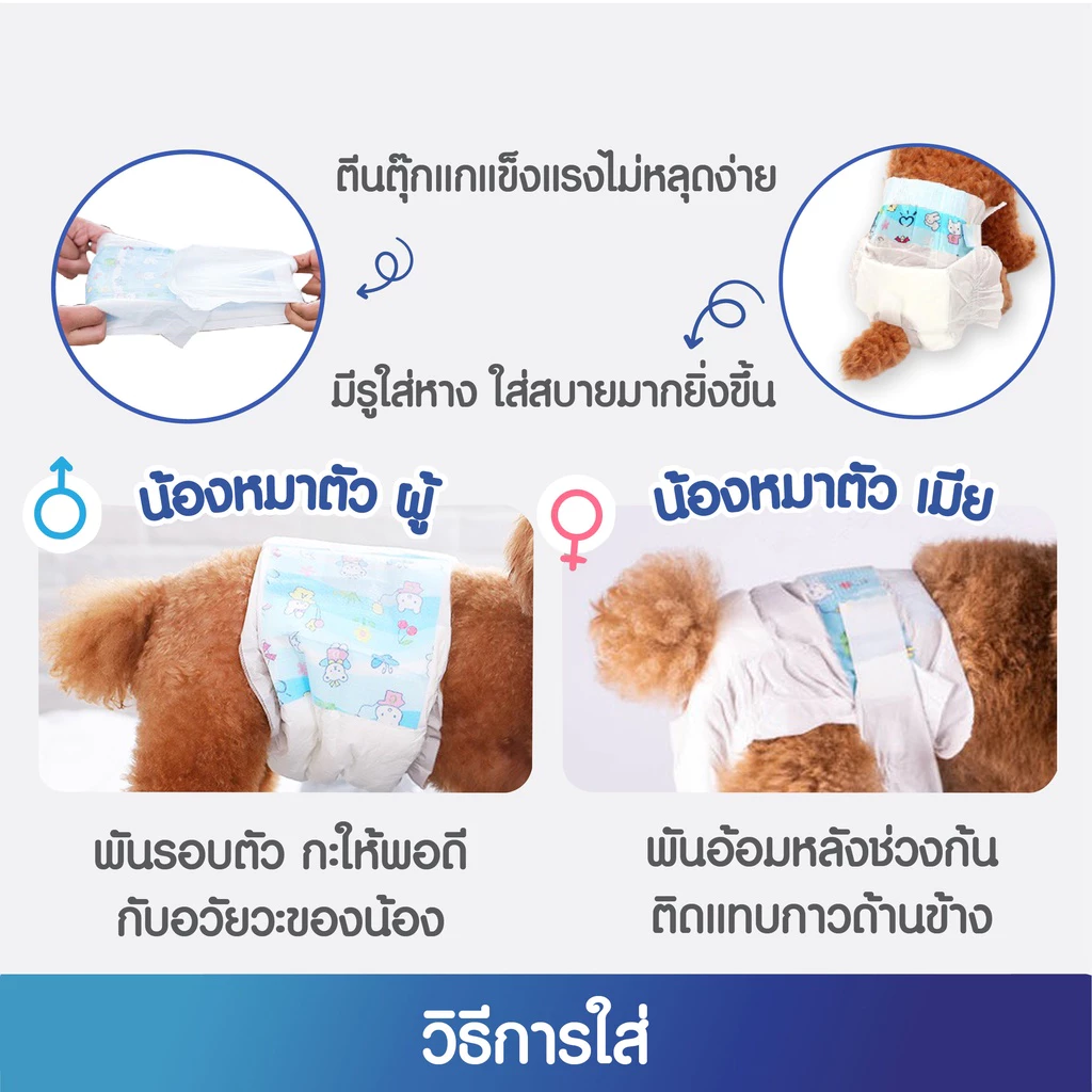 ผ้าอ้อมสุนัขและแมว แผ่นซับฉี่สัตว์เลี้ยง 36 ชิ้น thumbnail 3