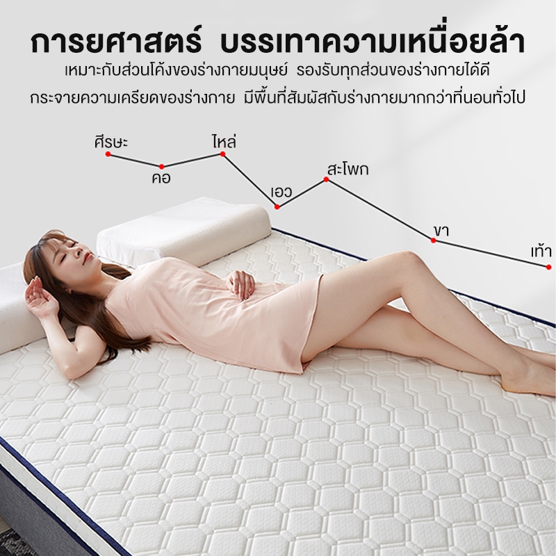 Sunfay ที่นอนยางพารา