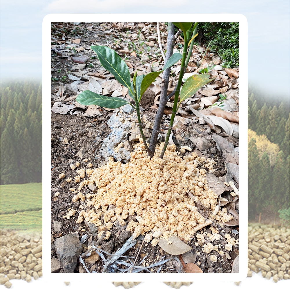 ทรายแมวไม้สน 5 กก. ขี้เลื่อยอัดเม็ด ไร้ฝุ่น ไร้สารเคมี ดูซับดีเยี่ยม ประหยัดมาก - รูปที่ 3