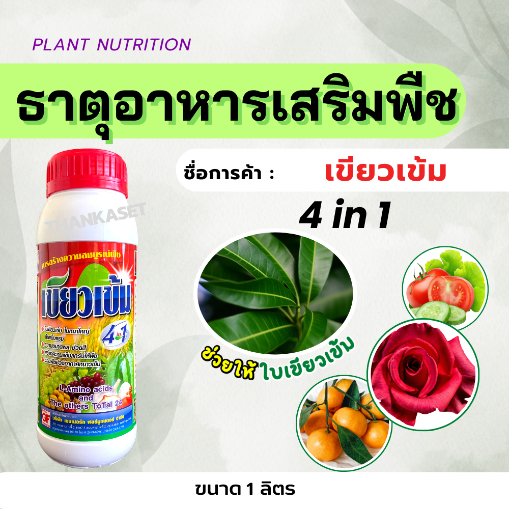 เขียวเข้ม ช่วยให้ใบเขียว หนา 4in1 แมกนีเซียม สังกะสี สาหร่าย อะมิโน อาหารเสริมพืช ขนาด 1 ลิตร