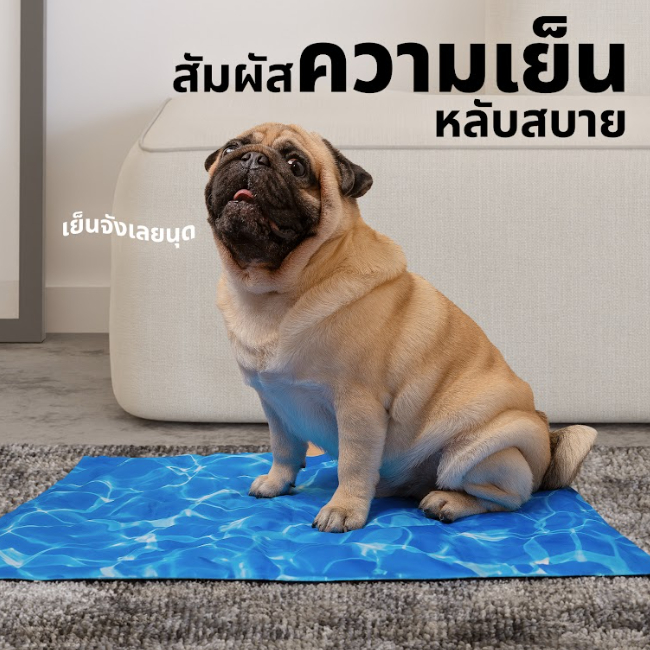 Pando เบาะเจลเย็นสำหรับสัตว์เลี้ยง