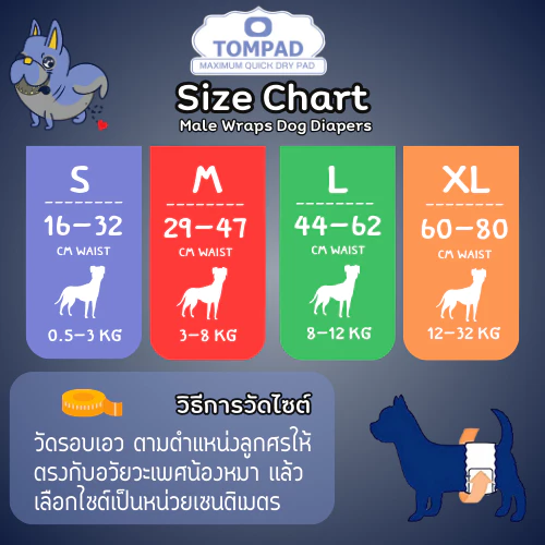 โอบิทอมแพด ผ้าอ้อมสุนัขตัวผู้ มีแถบวัดฉี่ ปรับเอวได้ thumbnail 10
