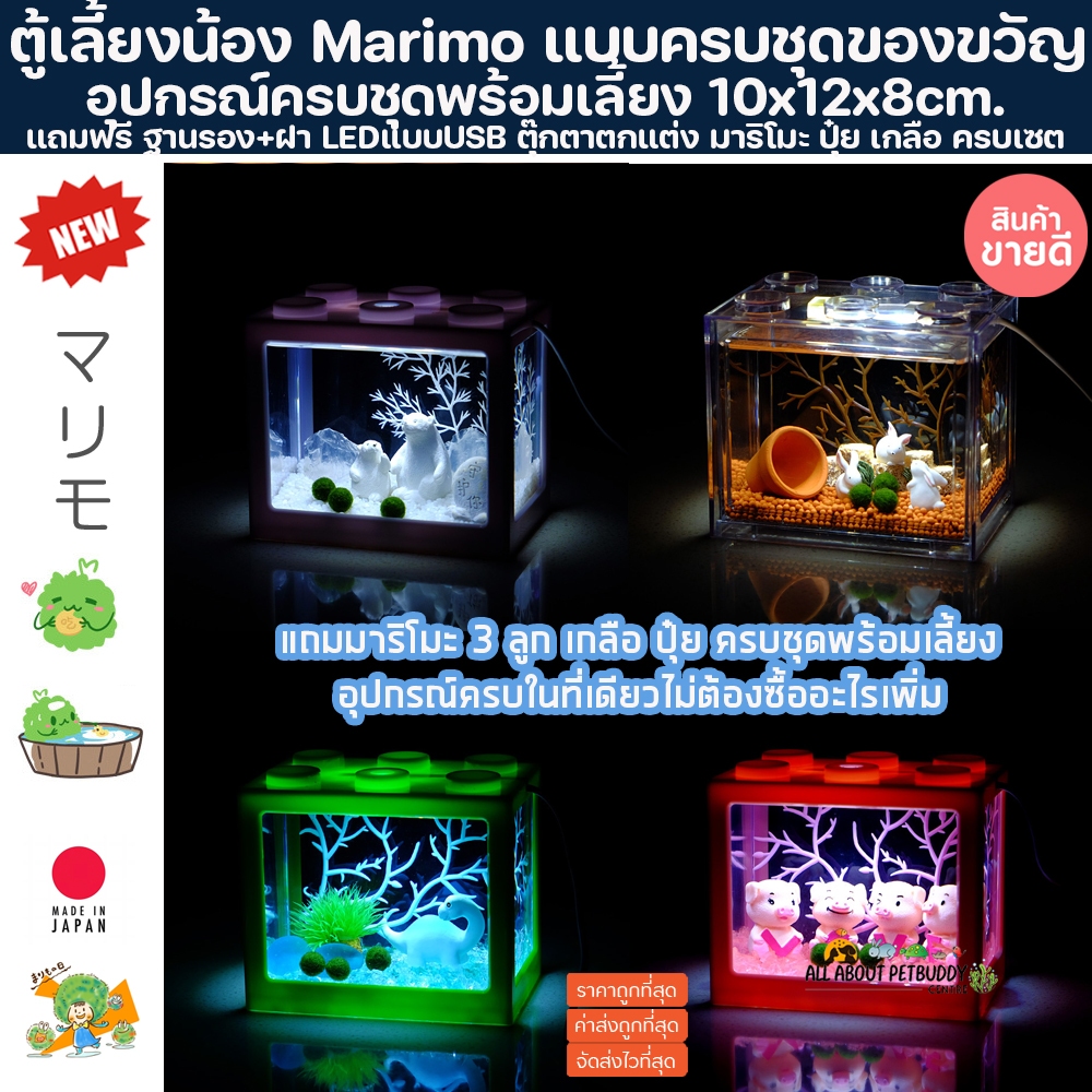 [สินค้าพร้อมส่ง ] มาริโมะ Marimo Set ตู้เหลี่ยมมีไฟLED แถมฟรีอุปกรณ์ครบชุดพร้อมเลี้ยง ตกแต่งตู้ปลา สาหร่ายมาริโมะ มอส