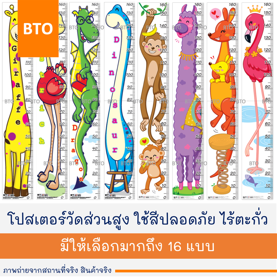 ที่วัดส่วนสูง โปสเตอร์วัดส่วนสูง OST 0-160 ซม. | 40-200 ซม. 1 แผ่น