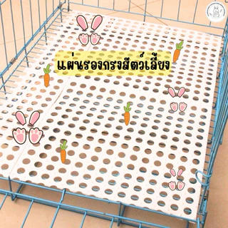 แผ่นจิ๊กซอว์ปูรองกรง รองเท้า สัตว์เลี้ยง (ขนาด30*30cm)