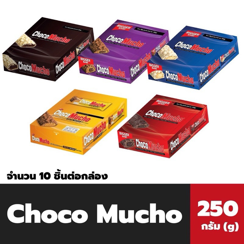 ช้อกโกมูโช  ช็อคโกแล็ต 250 กรัม  Rebisco Choco Mucho